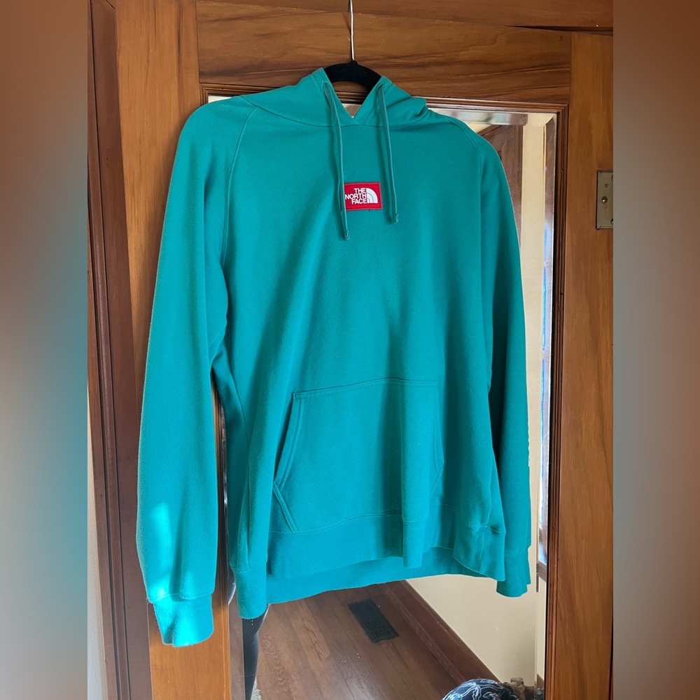 The north face hoodie sweatshirt